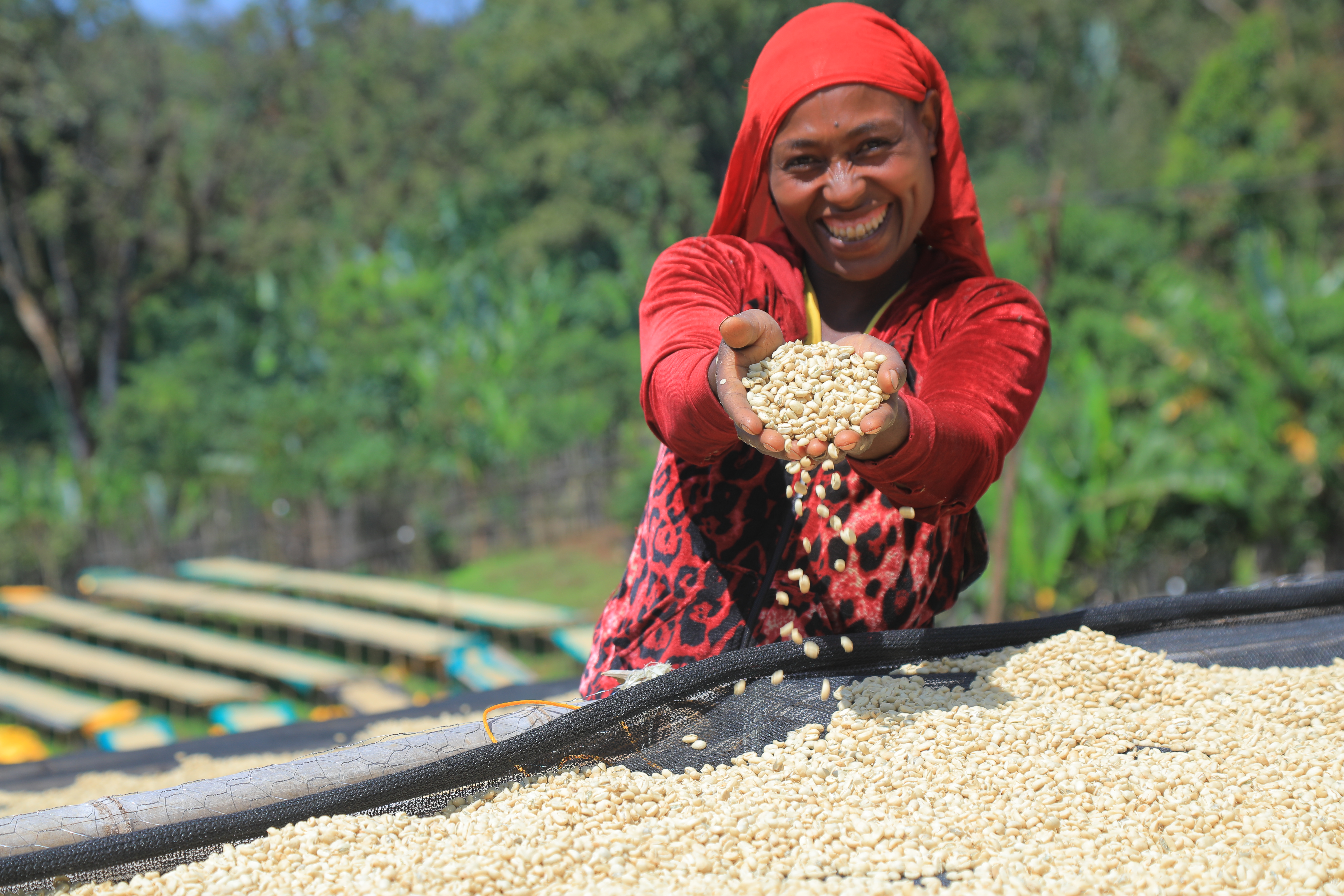 ETHIOPIA Chelbesa - Obrázek 3