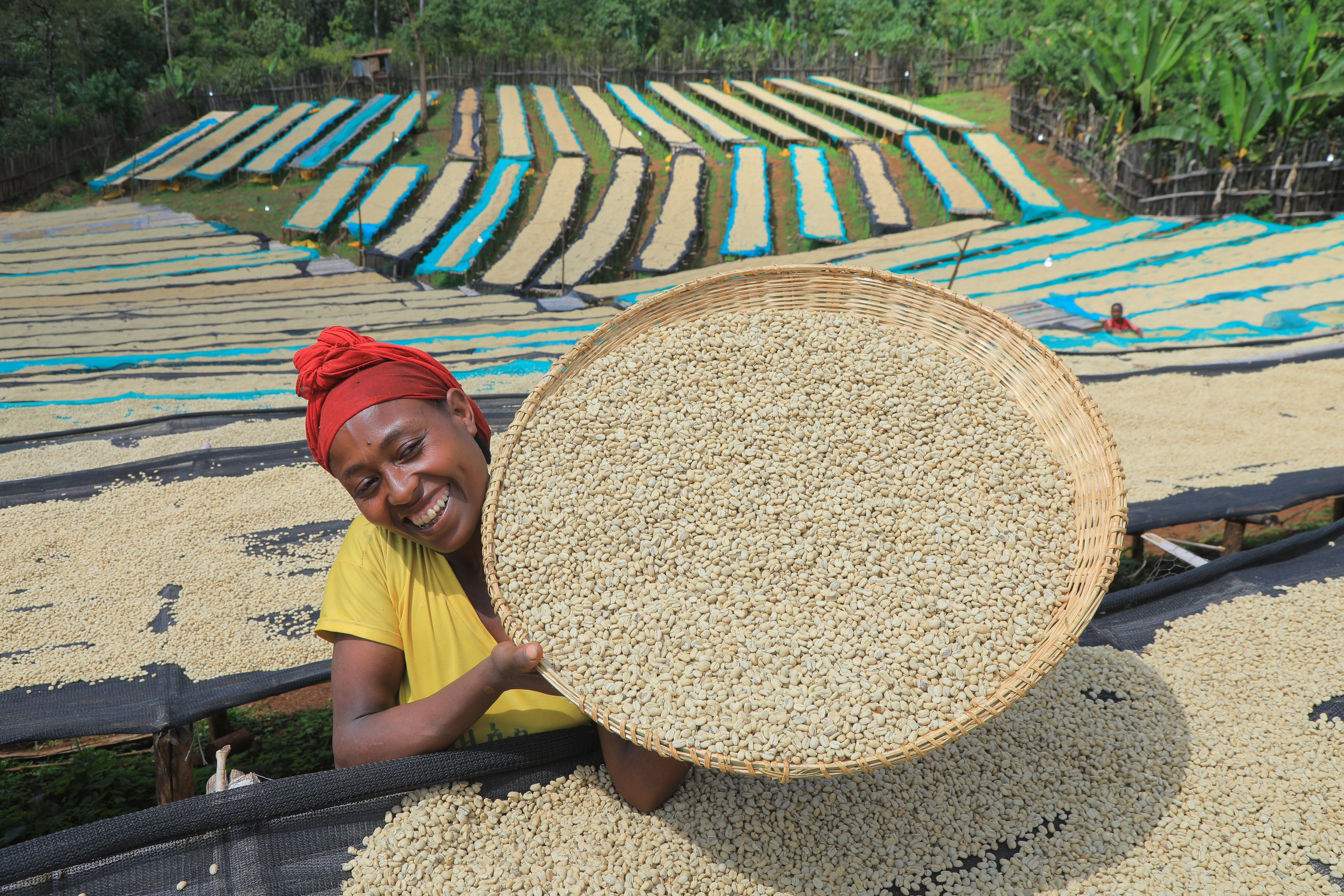 ETHIOPIA Chelbesa - Obrázek 4