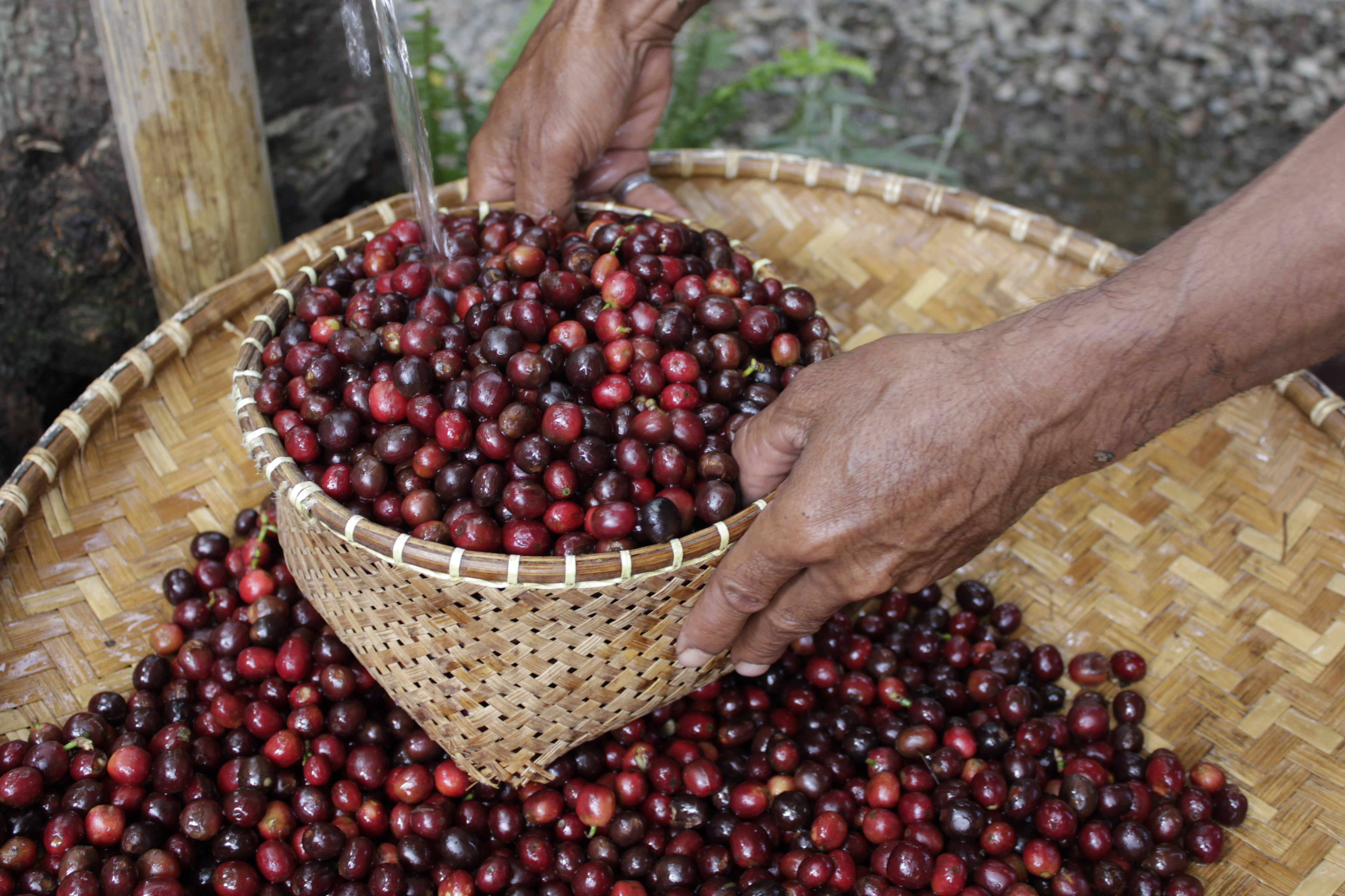 Indonesia Bang Hendra - Obrázek 3