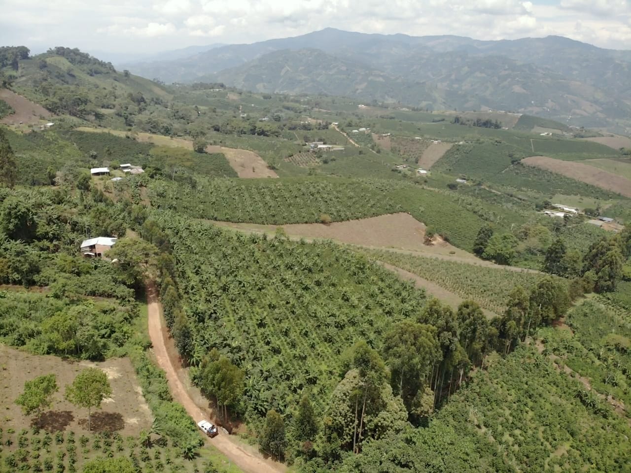 Colombia Alirio Rodriguez - Obrázek 2