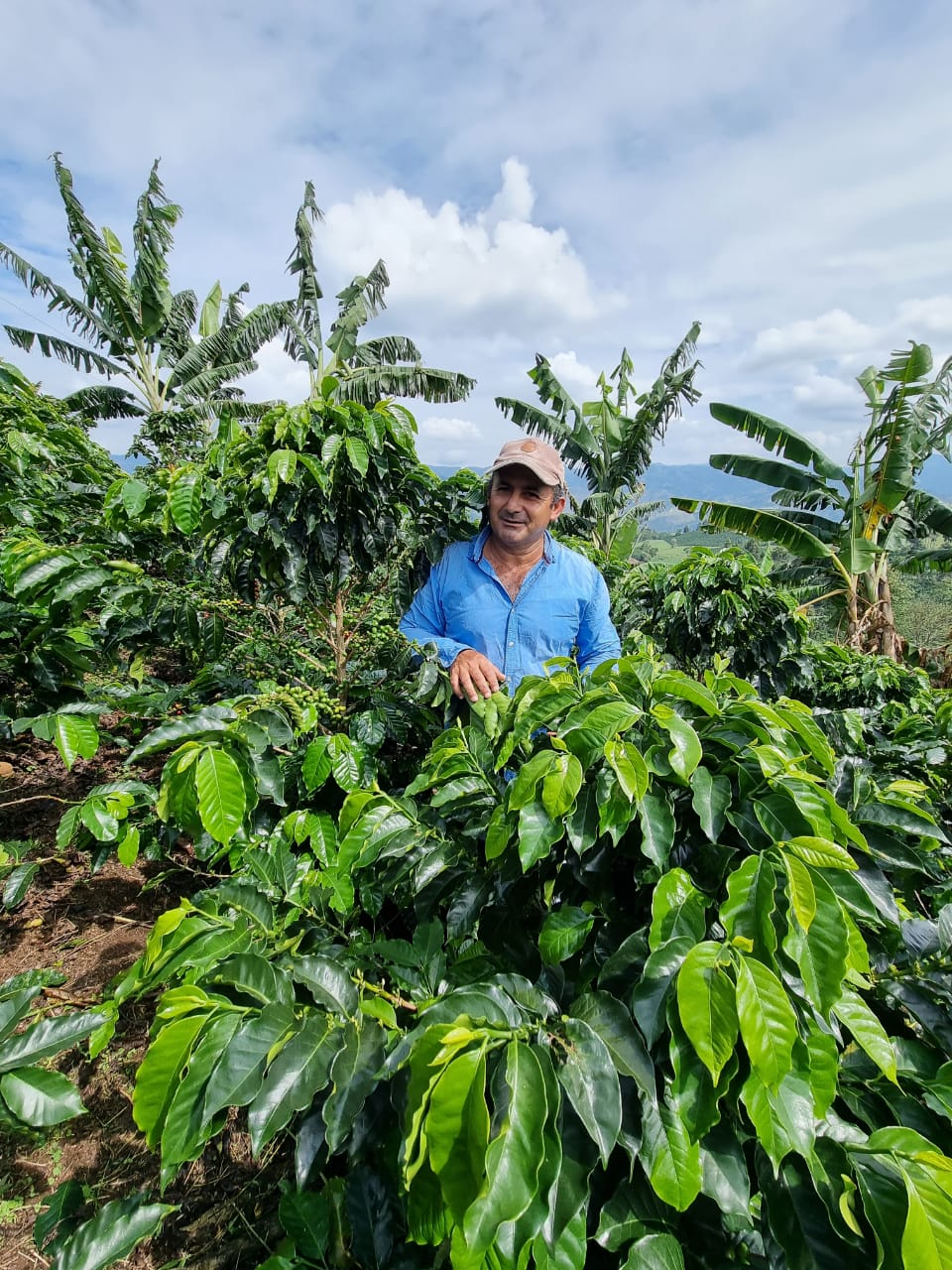 Colombia Alirio Rodriguez - Obrázek 3