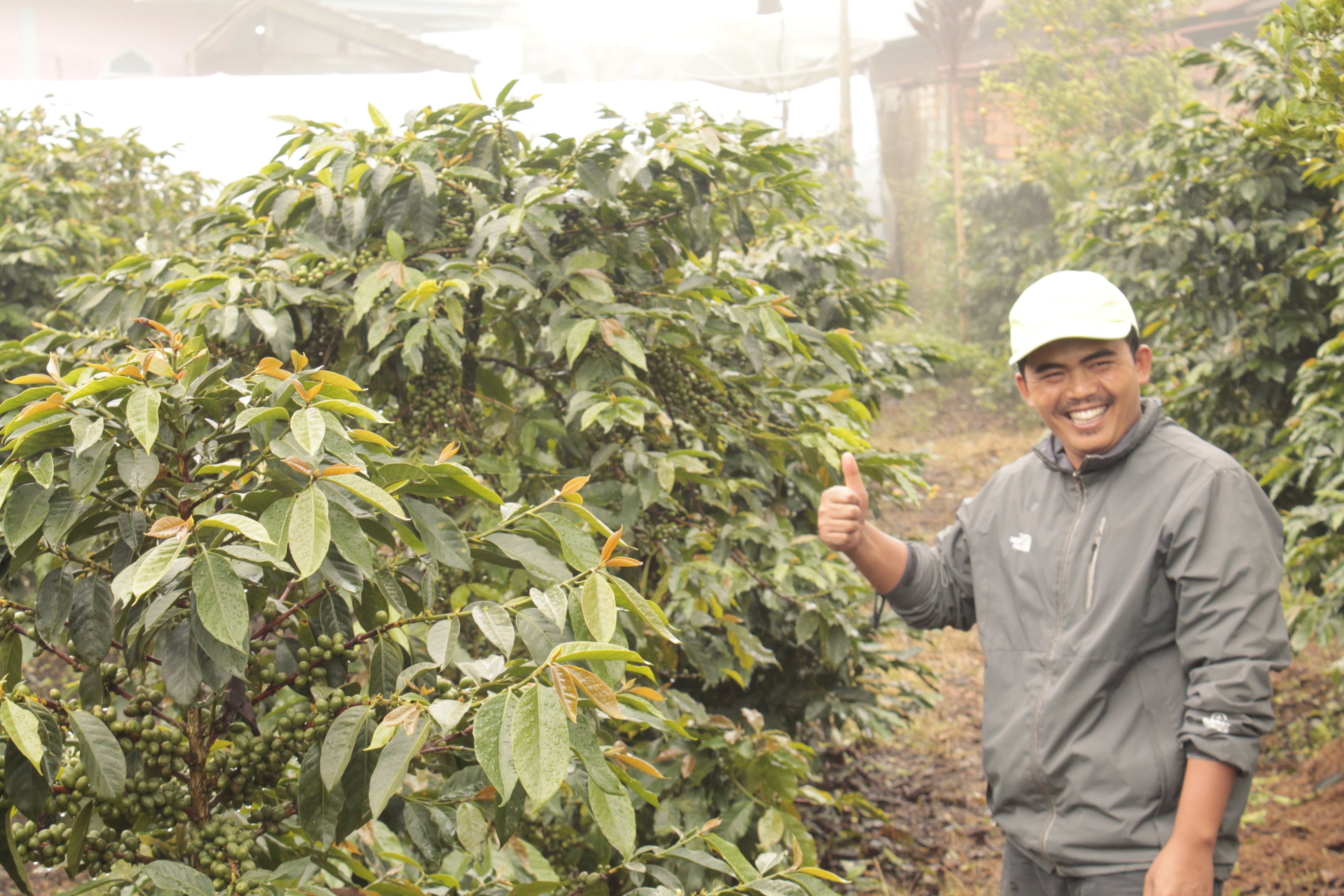 Indonesia Triyono & farmers - Obrázek 2