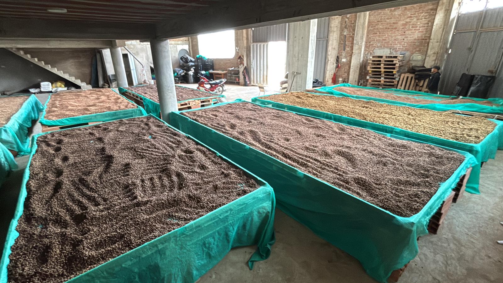 Peru Los Tulipanes - Obrázek 2