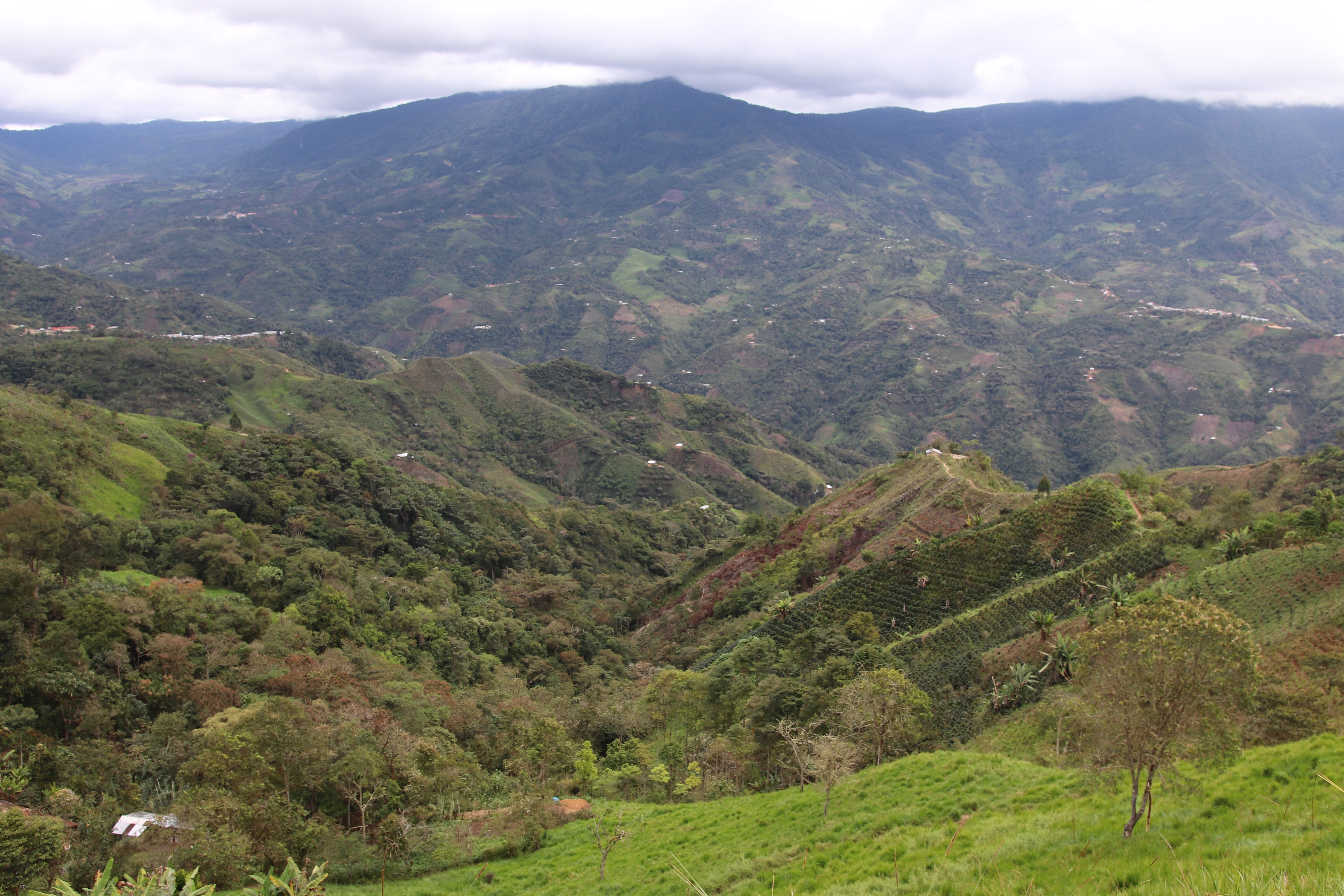 PERU El Paraiso - Obrázek 5