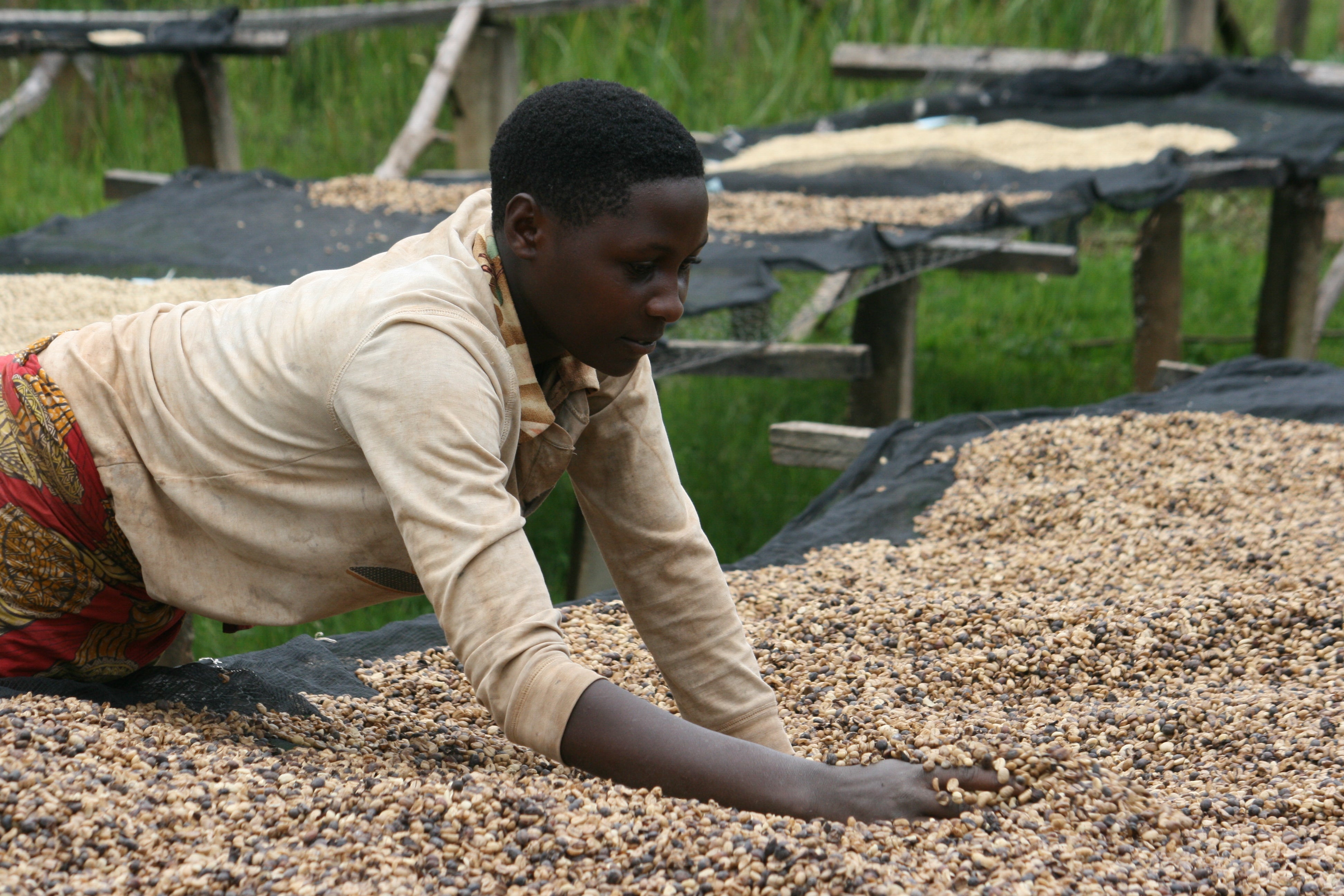 BURUNDI Kibingo - Obrázek 2