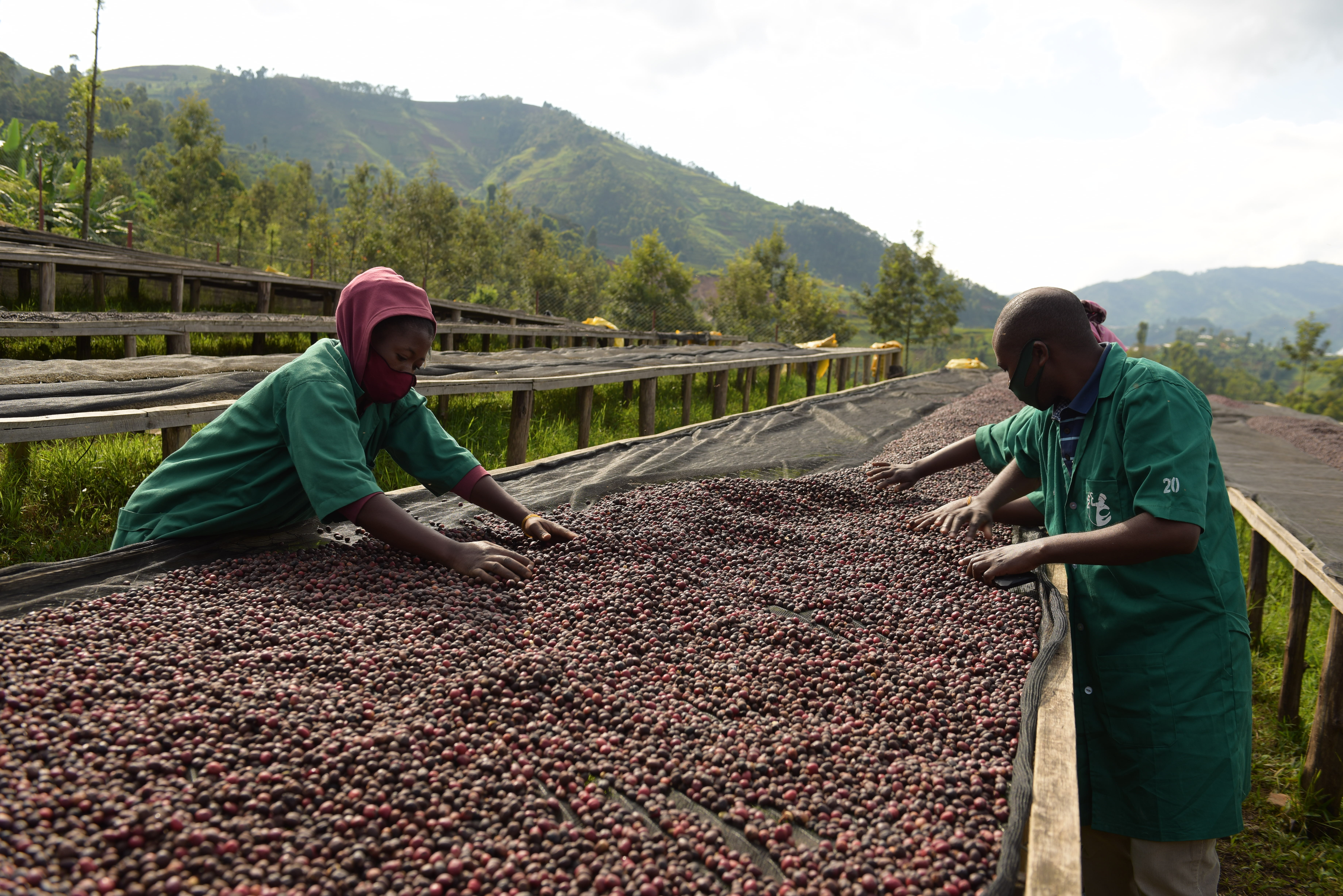 RWANDA Cyato - Obrázek 4