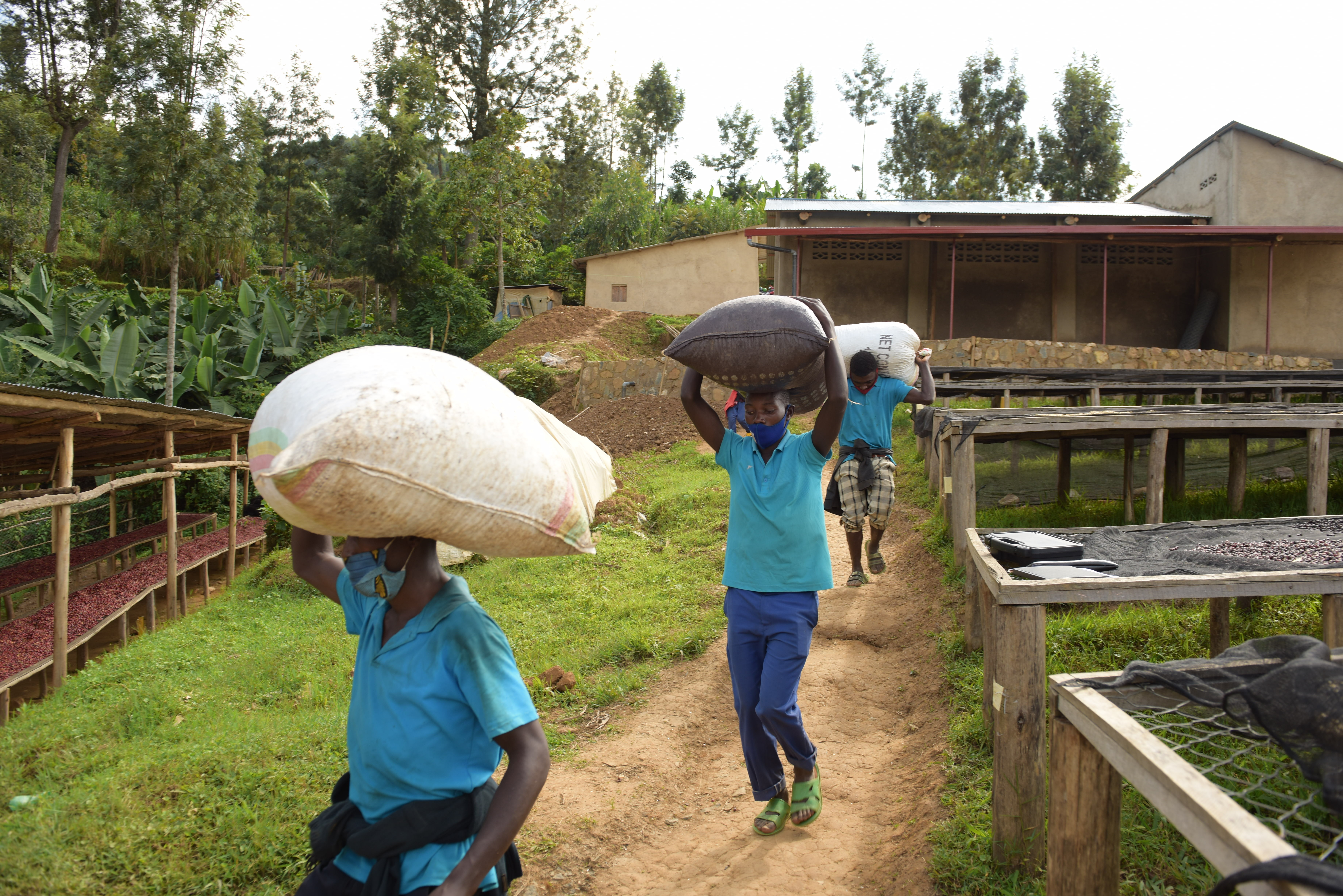 RWANDA Cyato - Obrázek 5