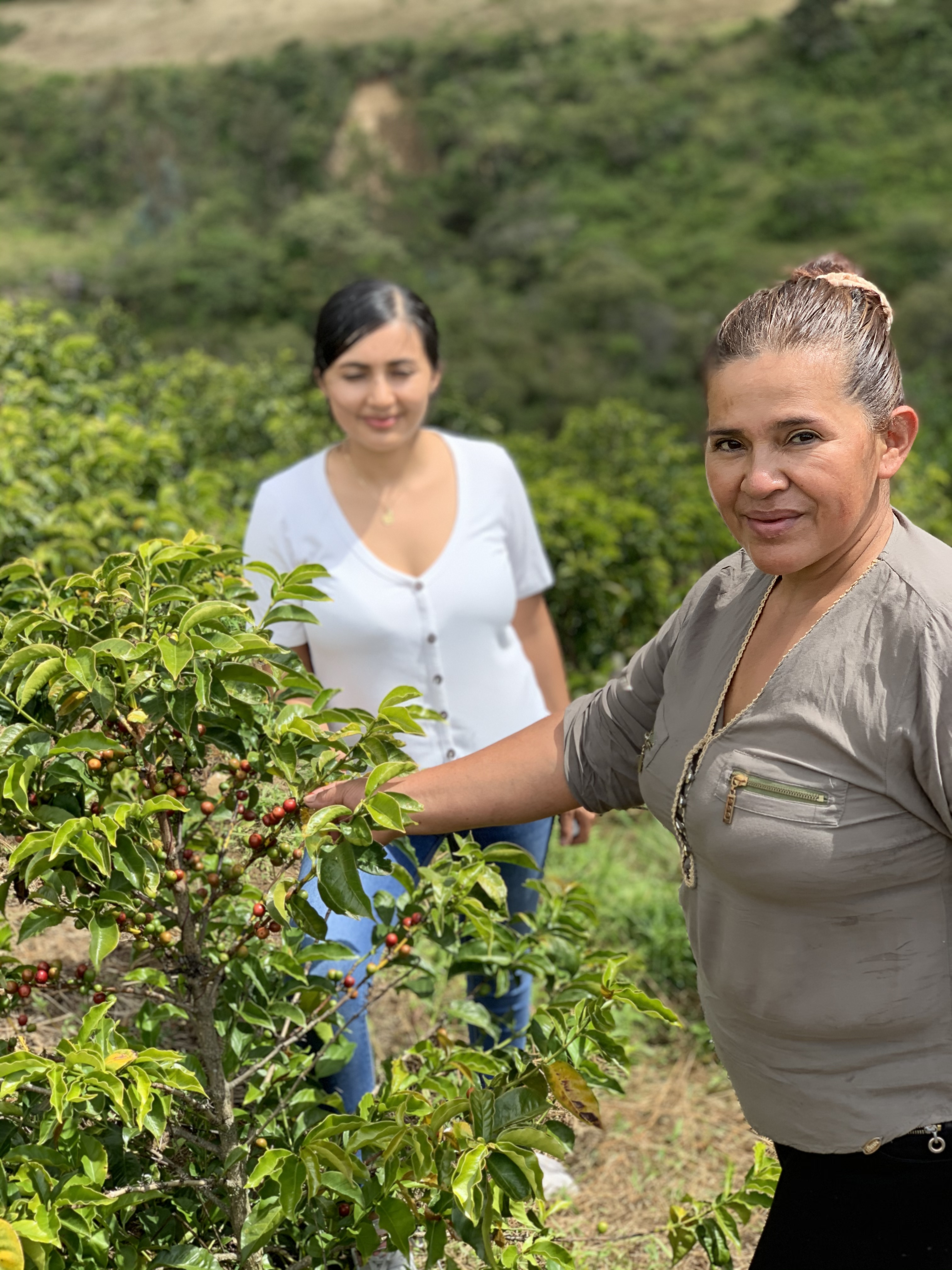 COLOMBIA Aponte - Obrázek 2