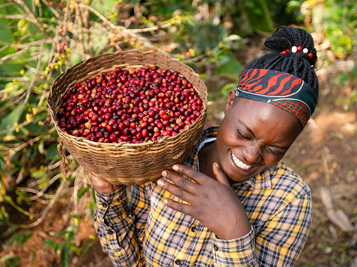 Ethiopia Lalesa - Obrázek 2