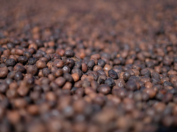 Ethiopia Lalesa - Obrázek 3